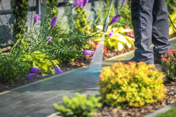 Best Spring Cleaning  in Bellevue, WI