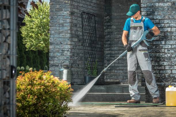 Best Gutter Cleaning  in Bellevue, WI