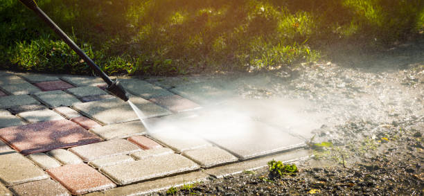 Best Fence Cleaning  in Bellevue, WI